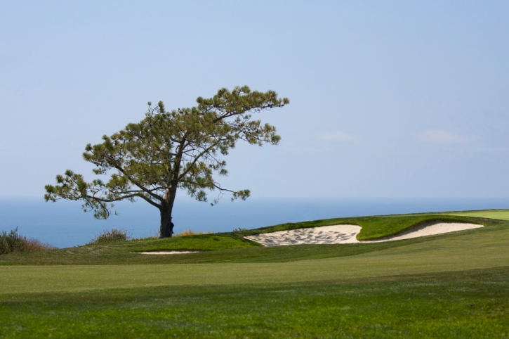 Oceanfront golf courses