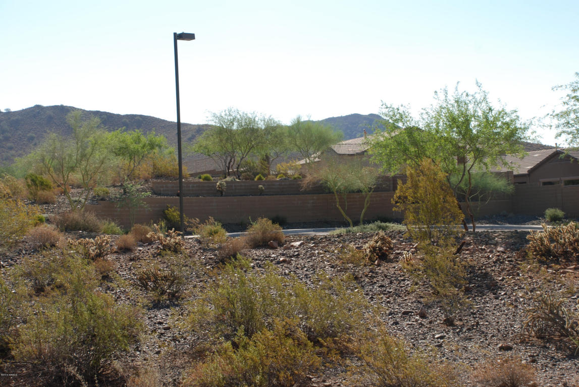 1732 W GAMBIT Trail, Phoenix, AZ 85085 - Photo 67