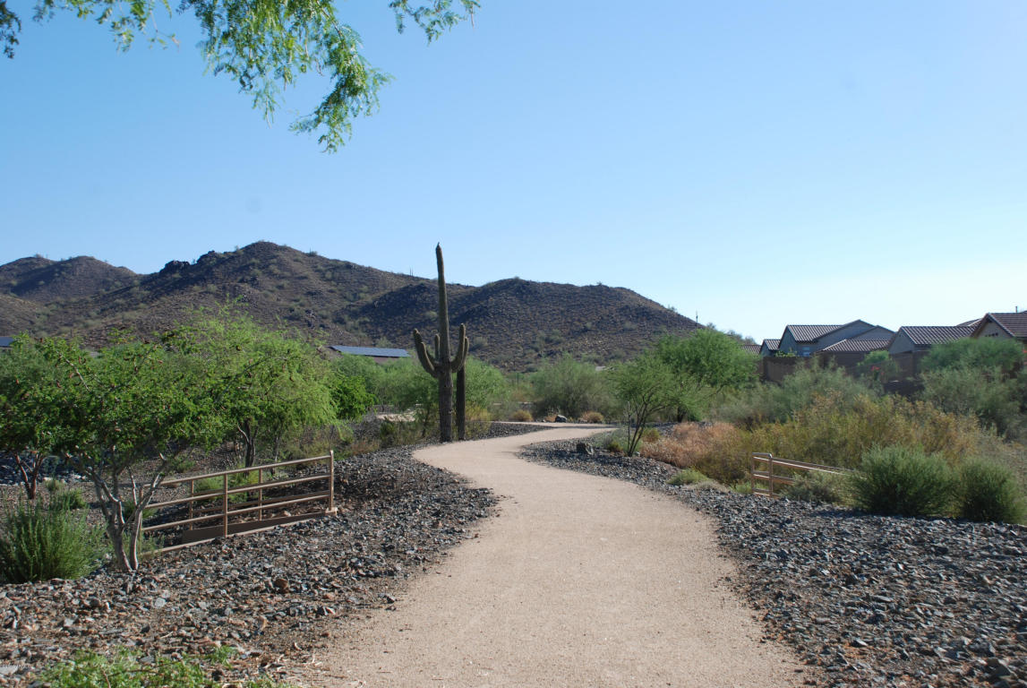 1732 W GAMBIT Trail, Phoenix, AZ 85085 - Photo 91