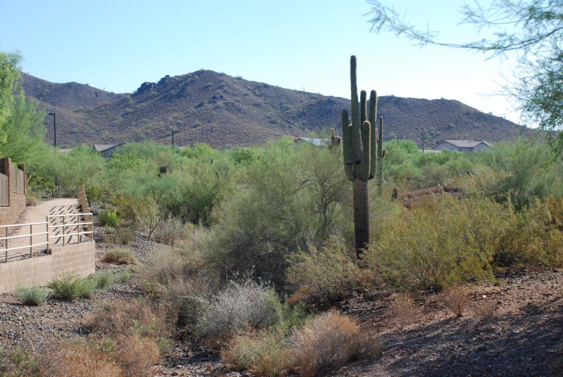 1732 W GAMBIT Trail, Phoenix, AZ 85085 - Photo 94