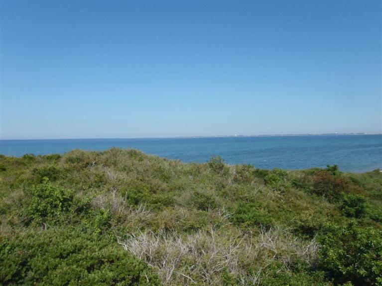 40-Lot 4 GREAT HOLLOW Rd, Truro, MA 02666 - Photo 7