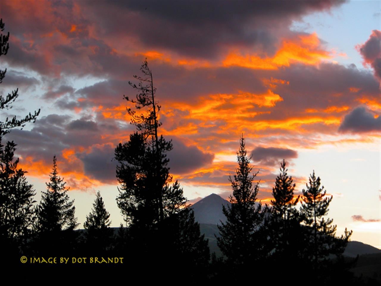 942 Lone Mountain Trail, Big Sky, MT 59716 - Photo 18