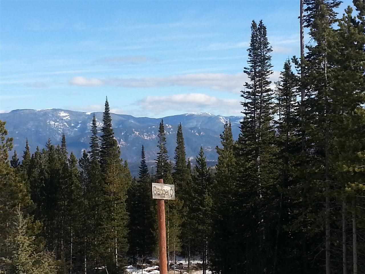 Ski Tip Lot 13 Eagle View Trail, Big Sky, MT 59716 - Photo 7