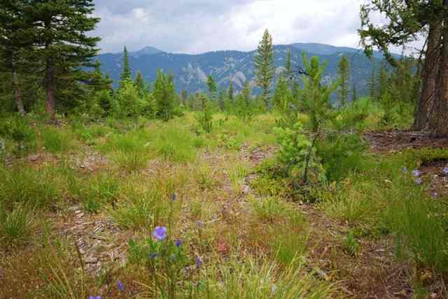 Tract 3 Section 5, Big Sky, MT 59716 - Photo 3