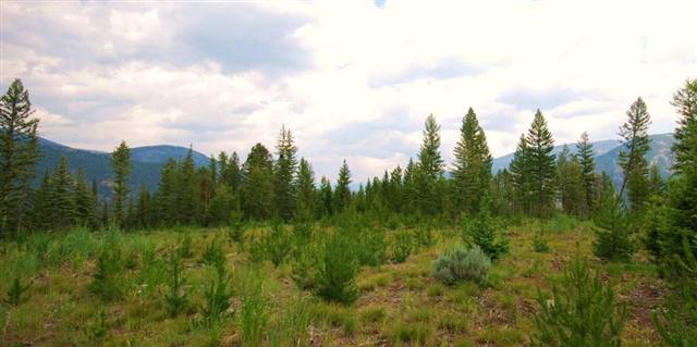 Tract 3 Section 5, Big Sky, MT 59716 - Photo 5