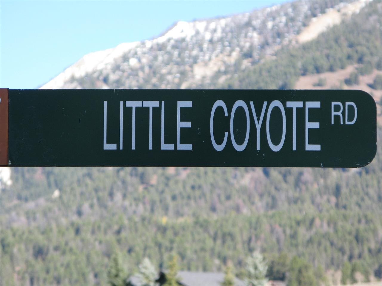 2500 Little Coyote Road, Big Sky, MT 59716 - Photo 23