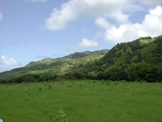 000000, Kilauea, HI 96754 - Photo 1
