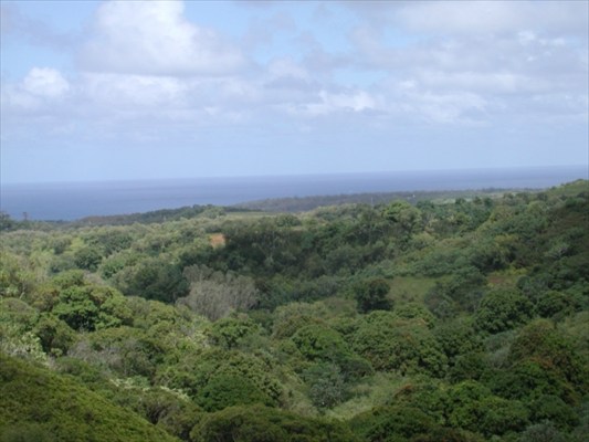 000000, Kilauea, HI 96754 - Photo 2