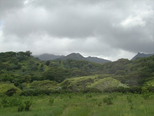000000, Kilauea, HI 96754 - Photo 7