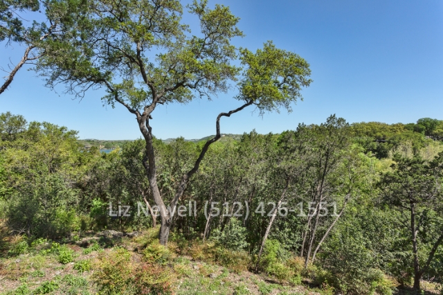 2519 El Greco Cv, Austin, TX 78703 - Photo 4