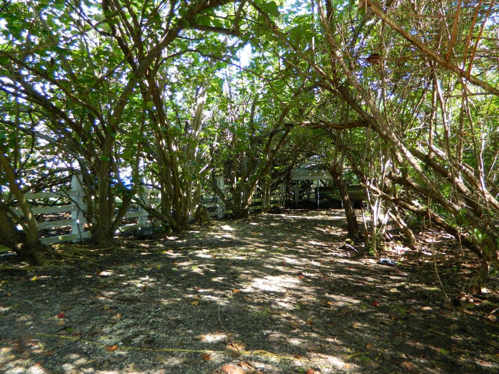 18959 PELICO Road, Sugarloaf Key, FL 33042 - Photo 54