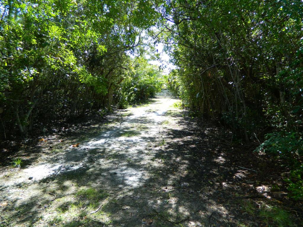 18959 PELICO Road, Sugarloaf Key, FL 33042 - Photo 56