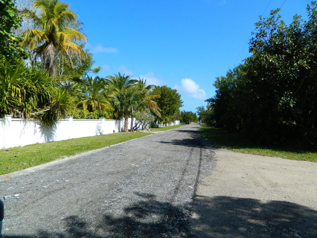 18959 PELICO Road, Sugarloaf Key, FL 33042 - Photo 58