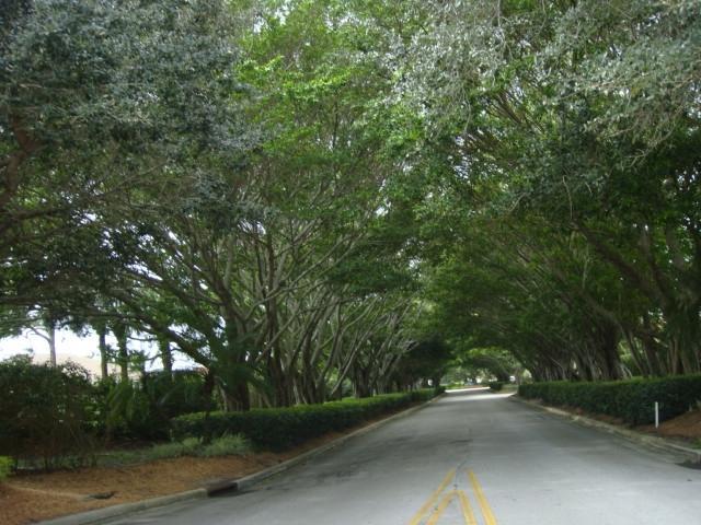 7831 Fairway Lane, West Palm Beach, FL 33412 - Photo 28