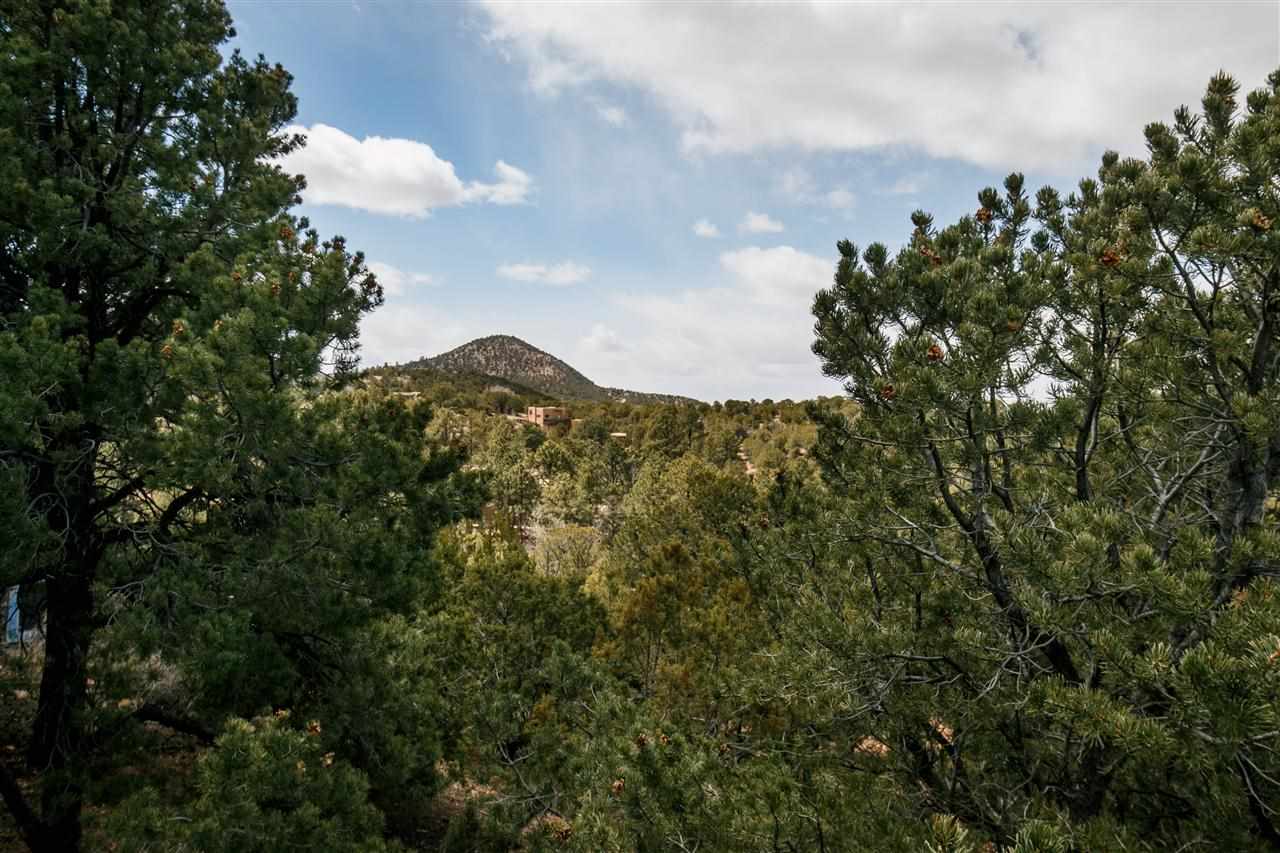 1631 Camino De Cruz Blanca, Santa Fe, NM 87505 - Photo 19