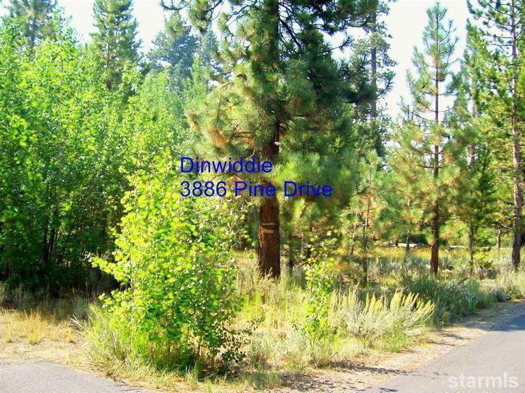 3886 Pine Dr, South Lake Tahoe, CA 96150 - Photo 17
