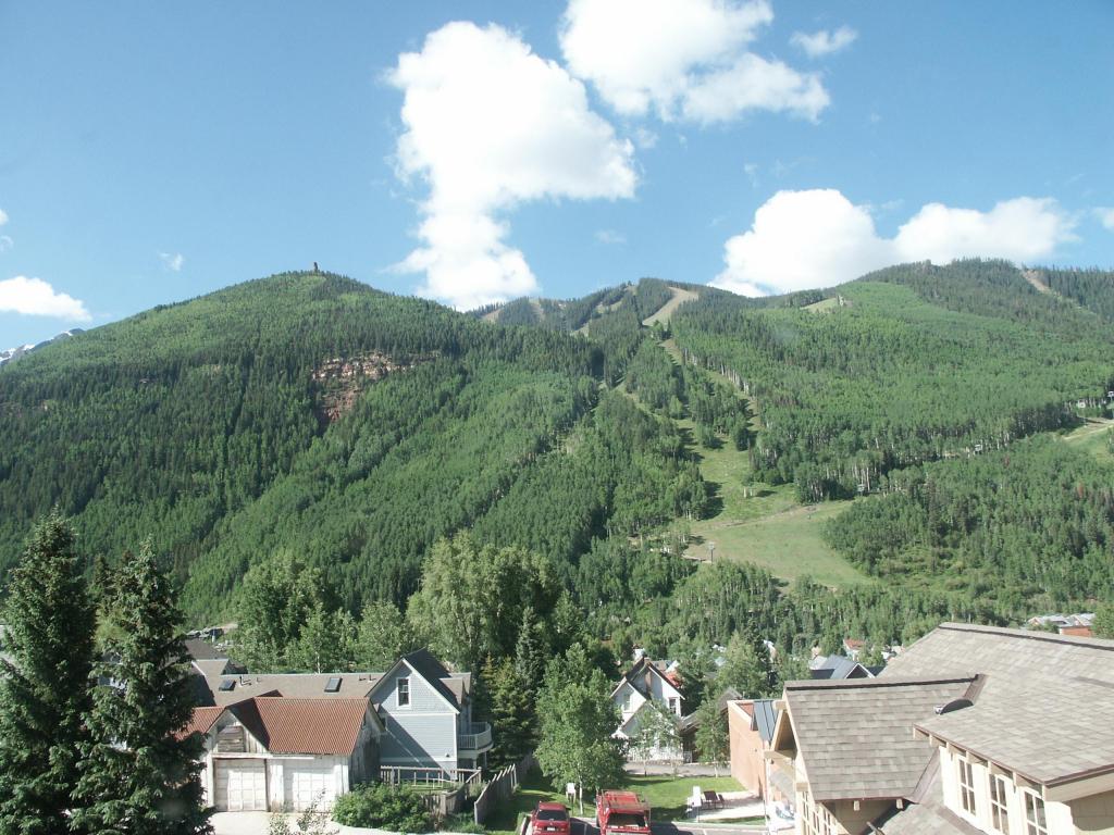 431 West Galena Ave., Telluride, CO 81435 - Photo 18