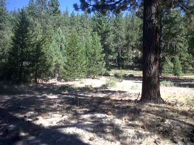11798 Donner Pass Road, Truckee, CA 96161 - Photo 2